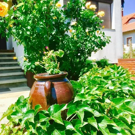 Rozsahegyi No.5 Apartment