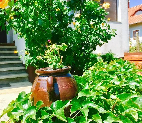 Rozsahegyi No.5 דירה